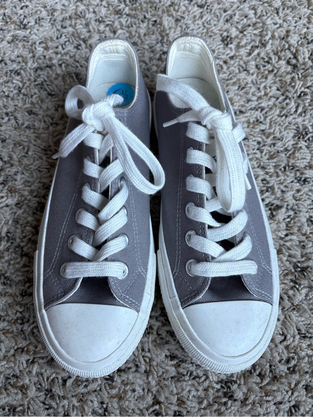 Brand new Sincerely Jules Canvas Gray Sneakers
